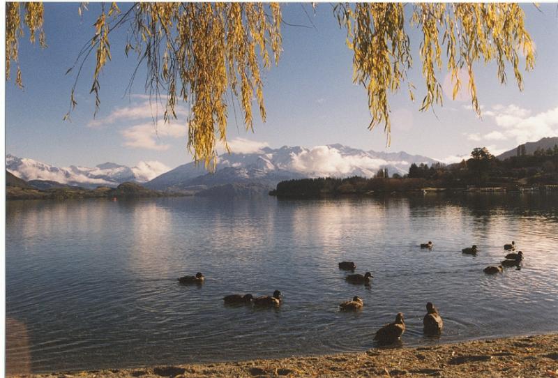 Wanaka