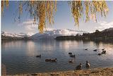 Wanaka