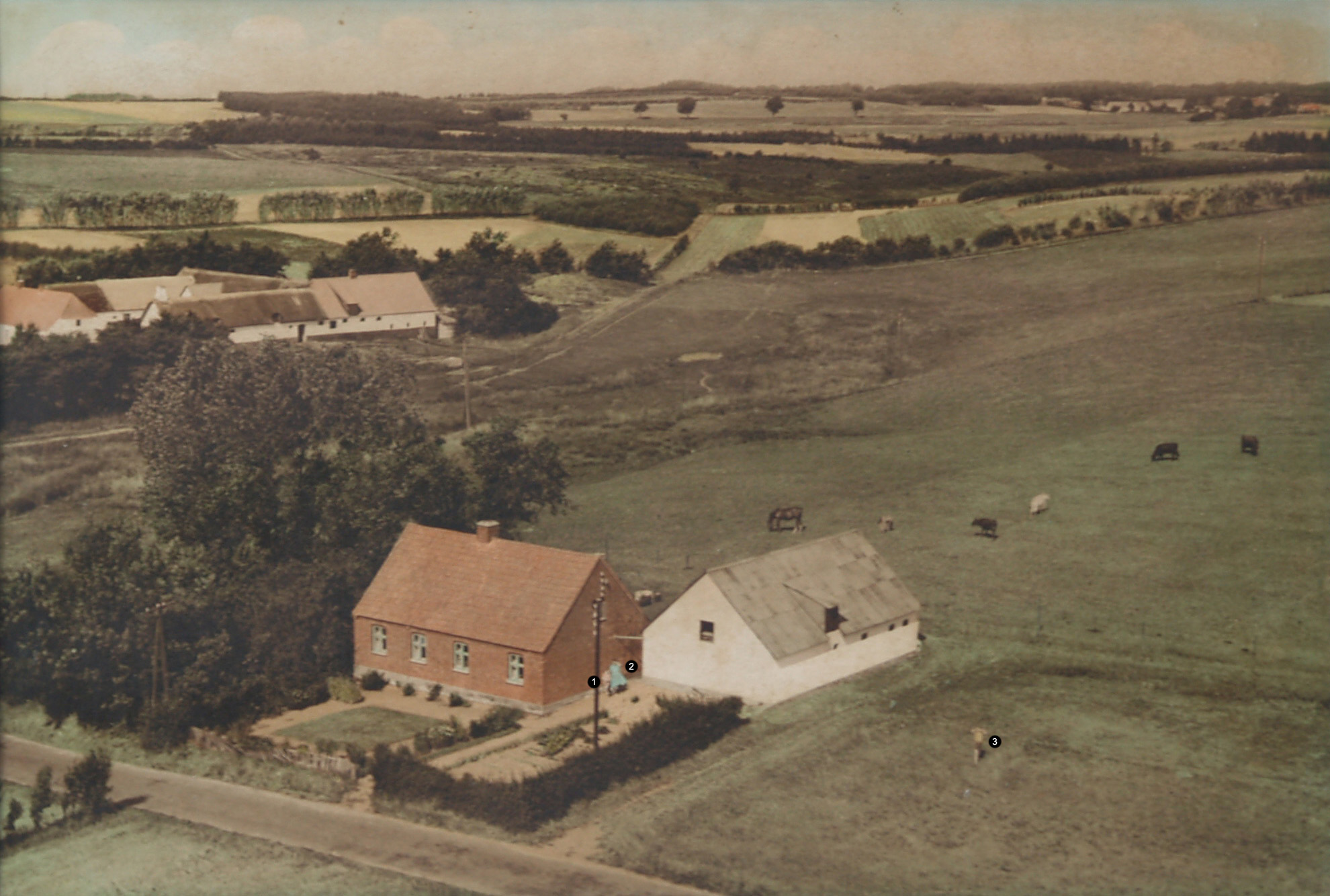 Minna og Anker Nielsens gård i Stenvad Kær - cirka 1955