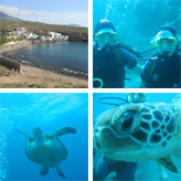 Tenerife, dykkerbilleder